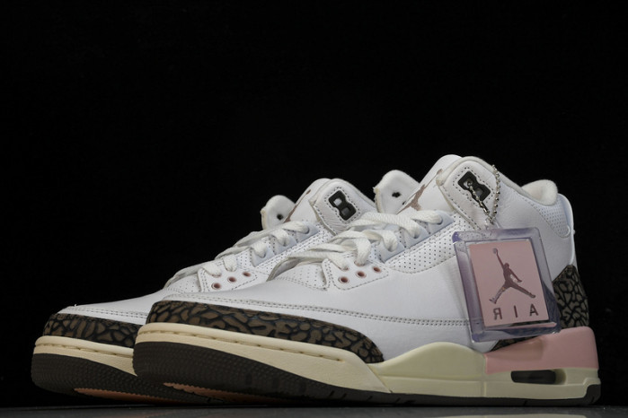AIR JORDAN 3 RETRO DH3434-113