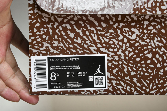 Air Jordan 3 "Palomino" CT8532-102