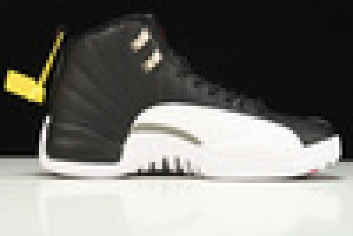 Air Jordan 12  Playoffs 2022 Release Date CT8013-006